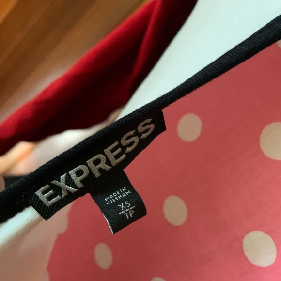 Express Color Block Dress - Picture 4 of 4